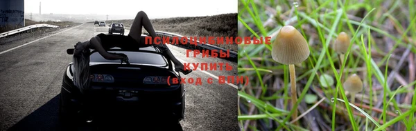 экстази Бородино