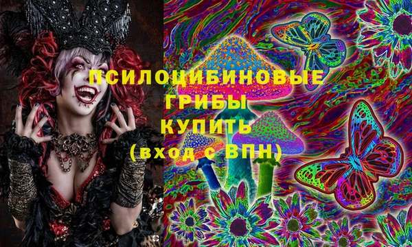 экстази Бородино