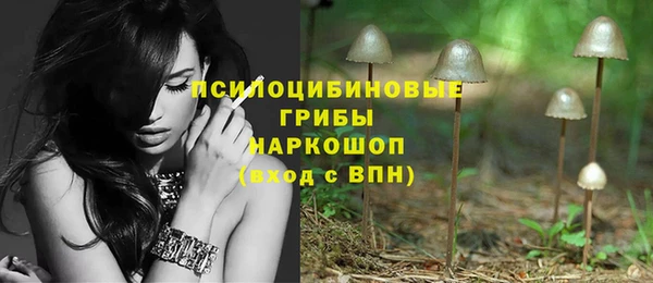 экстази Бородино