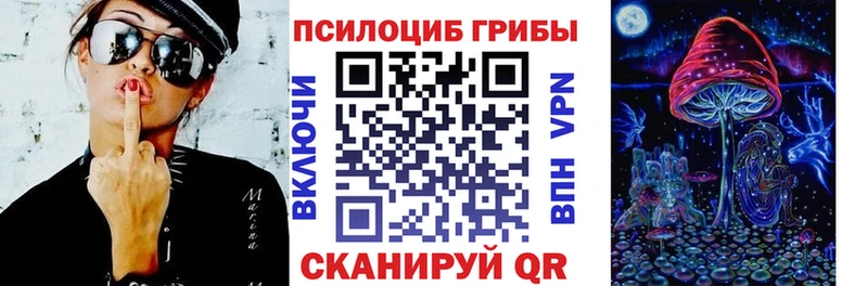 где купить наркотик  Ковдор  Псилоцибиновые грибы Psilocybine cubensis 